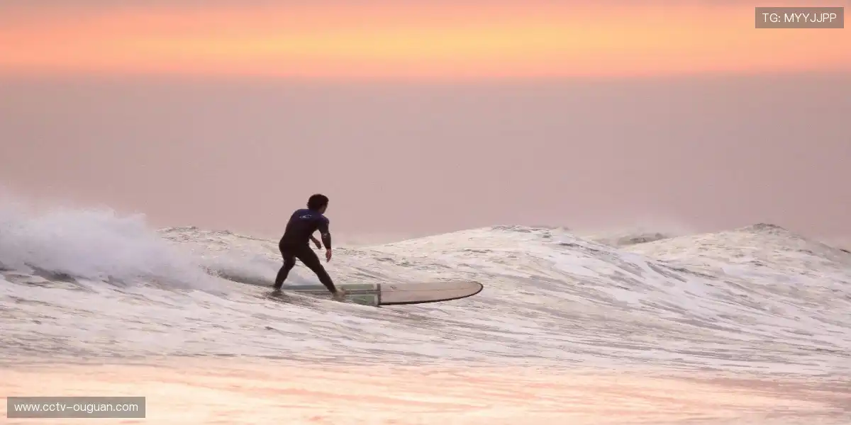 毫米级计时·守护每滴汗水📊