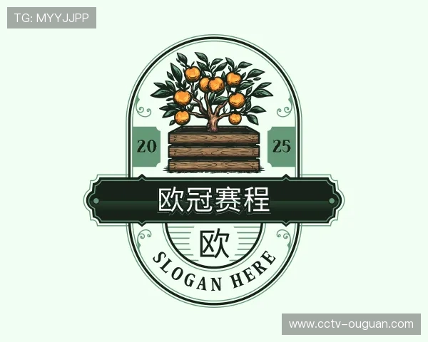 介绍欧冠积分榜